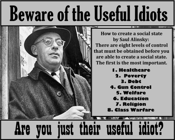 useful-idiot_orig.jpg