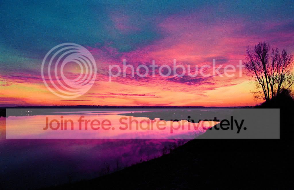 backgrounds-3.jpg