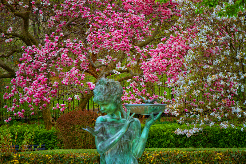 tp-cp-conservatory-garden-3-25-12.jpg