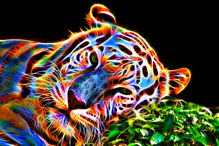colorful_tiger_iii_by_megaossa-d5v60ds.jpg