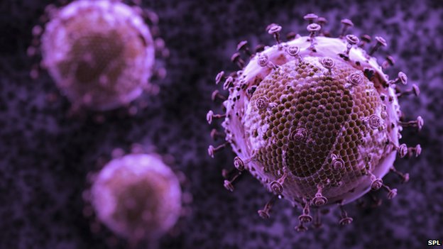_79427583_c0200994-hiv,_artwork-spl.jpg