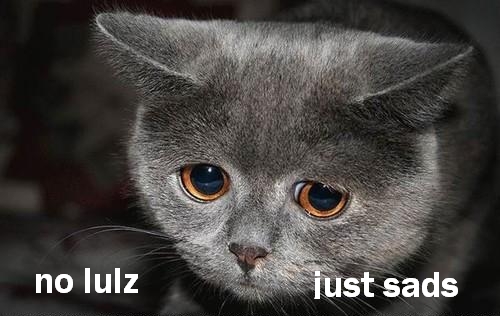 100911-no-lulz.jpg