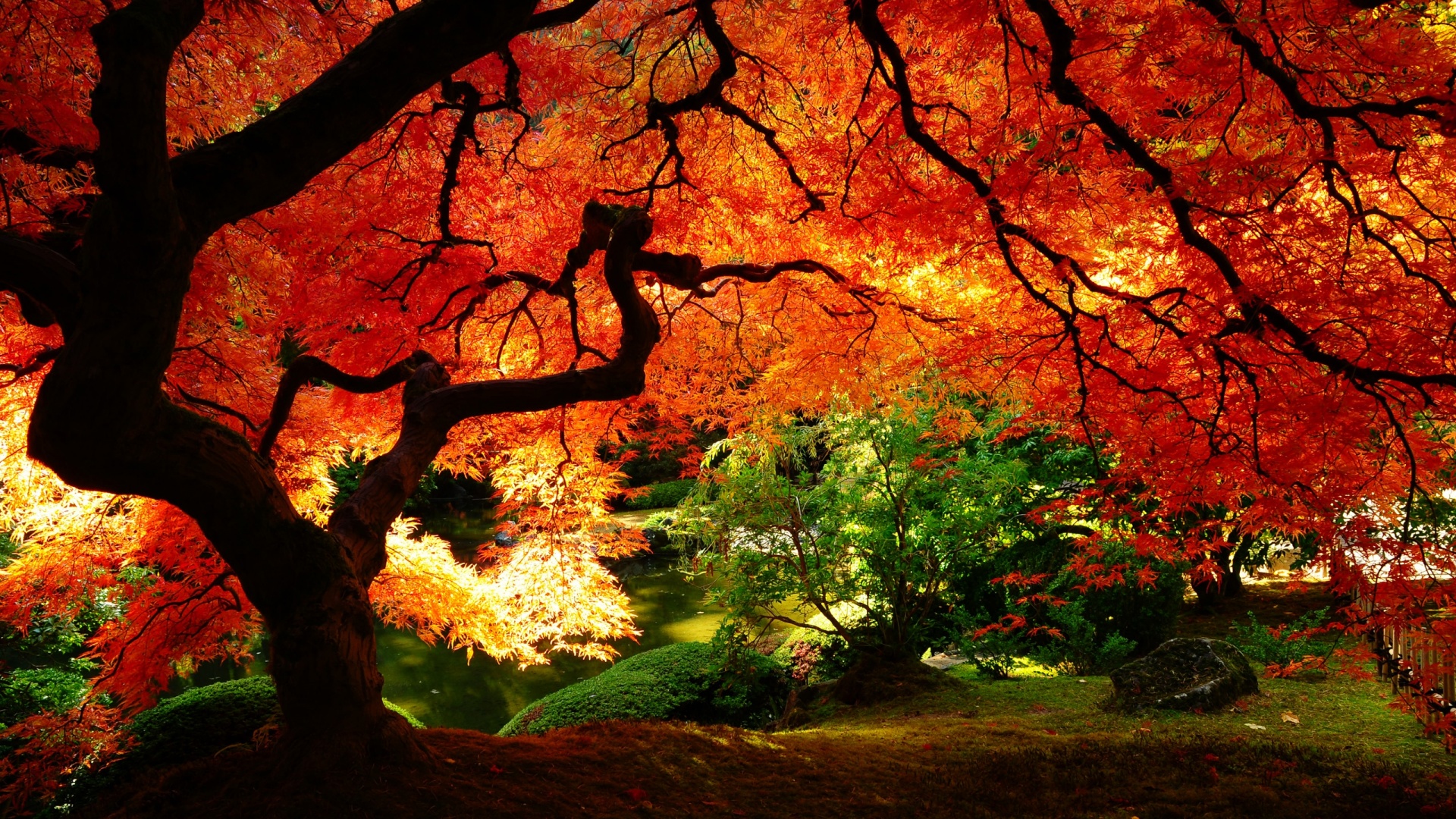 autumn-wallpapers_063027581_28.jpg