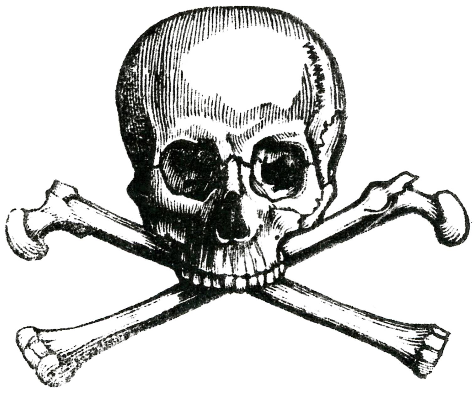 Early-Skull-Image-GraphicsFairy.jpg