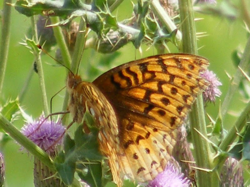 DSCF8192.jpg