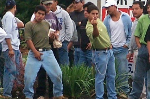 illegal_aliens_fuck_you.jpg