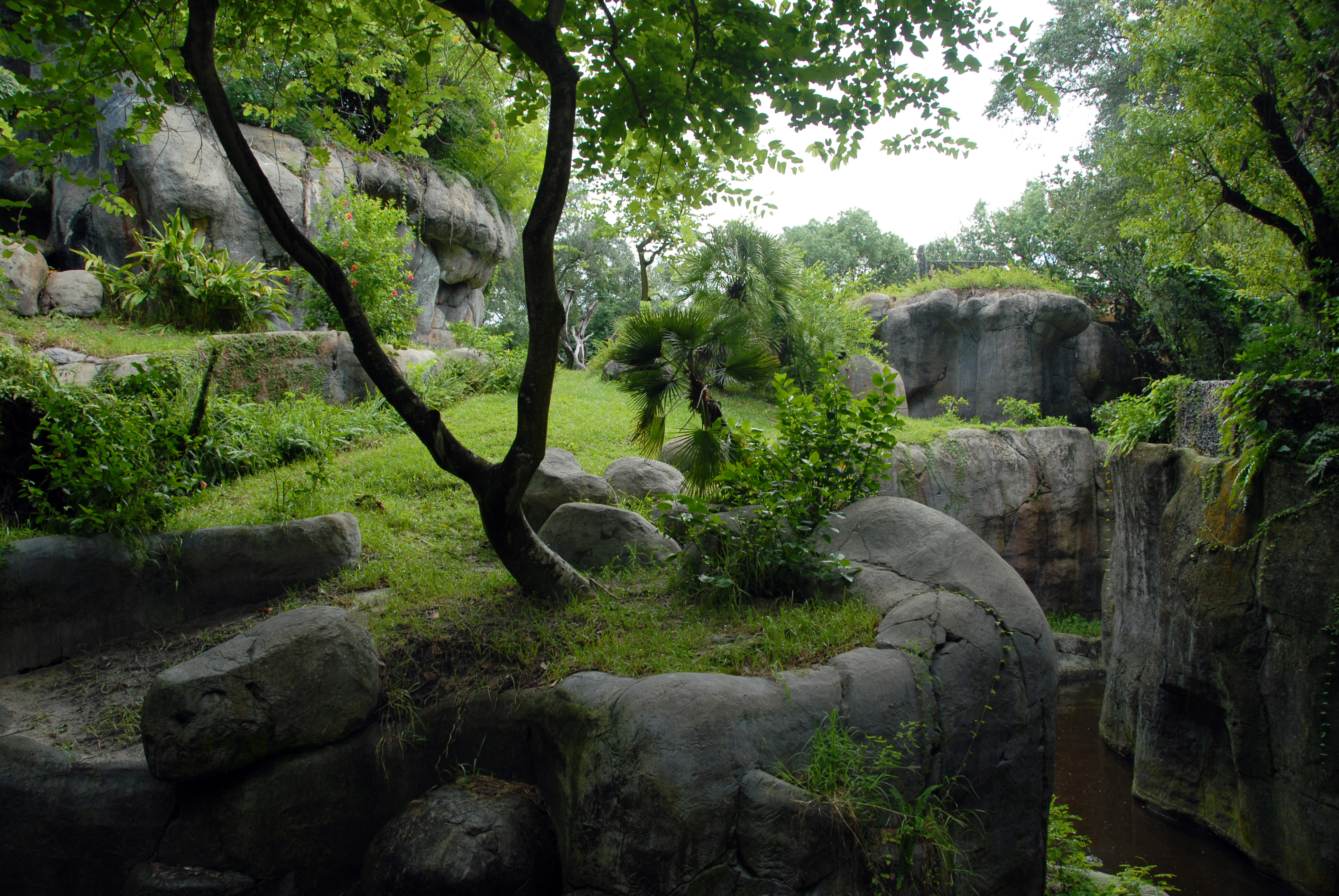 Nature_BG_126_by_Peace_of_Art.jpg