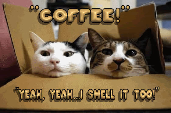coffee-8.gif