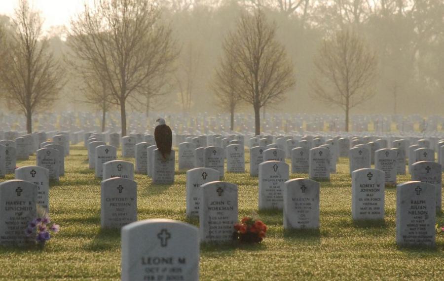 Eagle%20on%20Gravestone%20at%20Ft%20Snelling_full.jpeg