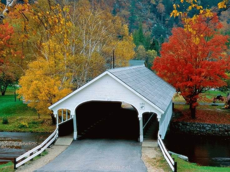292777,xcitefun-colorful-photo-of-nature-01.jpg