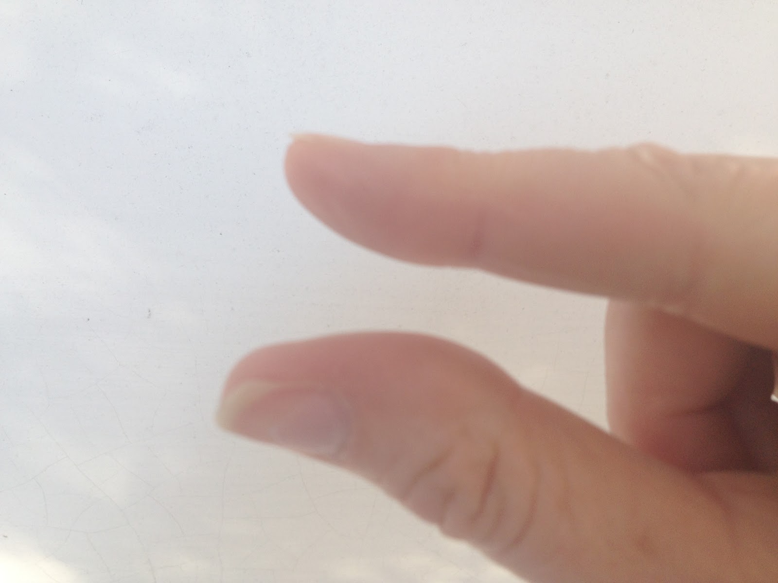 photo.JPG