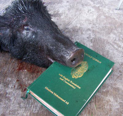 Pig-Koran2.jpg