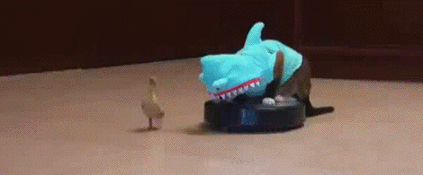 tumblr_mlfcr20QFi1qar3s3o1_500.gif