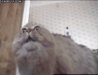 7q7Ml2p.gif