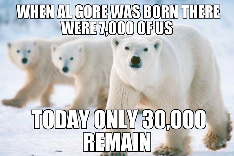 Polar-Bear-7000-30000.jpg