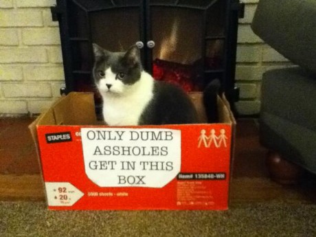 KmLRtbI.jpg