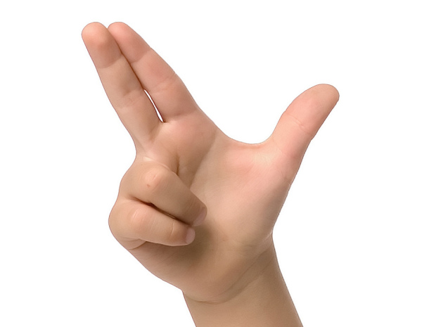 handgun.jpg
