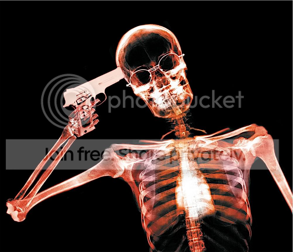 497018.jpg