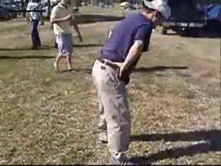 turtle-fly-kicks-guy-balls-1259347493y.gif