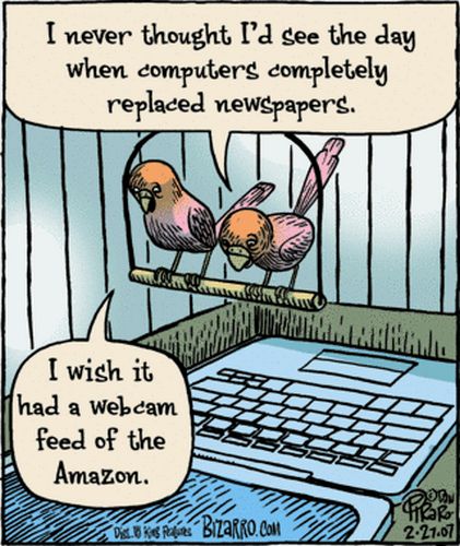 tn_birdcage-media.jpg