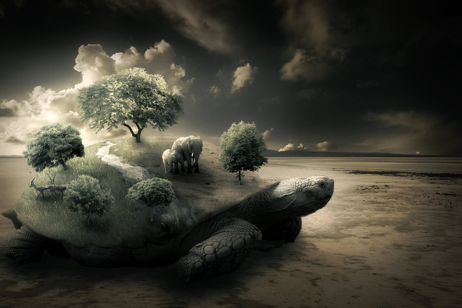 surreal_turtle.jpg