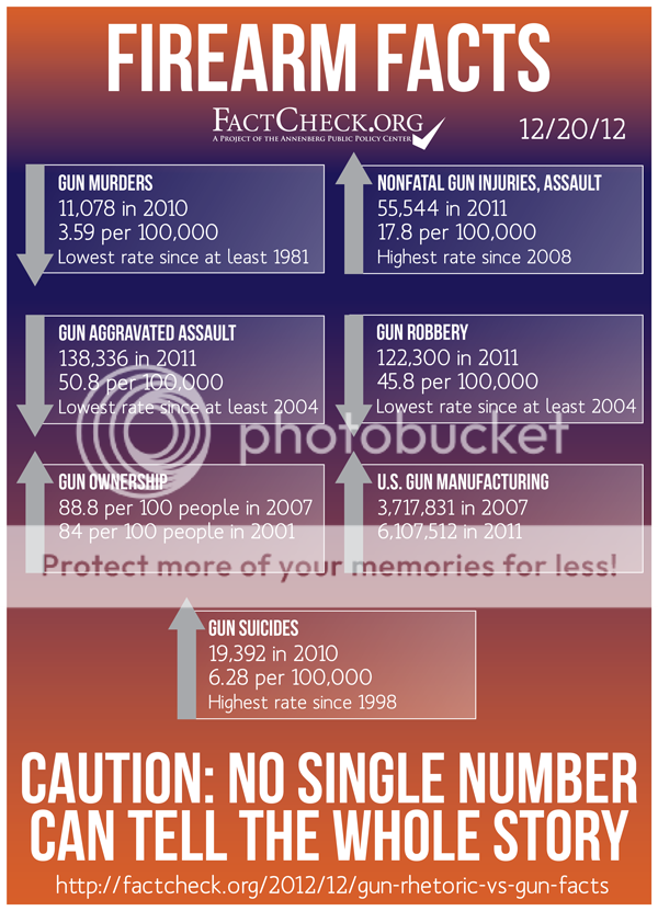 FirearmFacts_zps387effbf.png