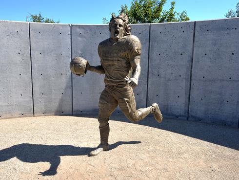 pat-tillmanx-large.jpg
