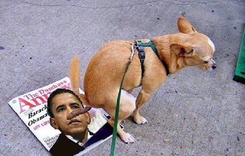 1387531903305-dog_shitting_on_obama.jpg