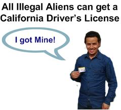 newdriverslicense.jpg