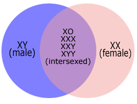 genetics.gif