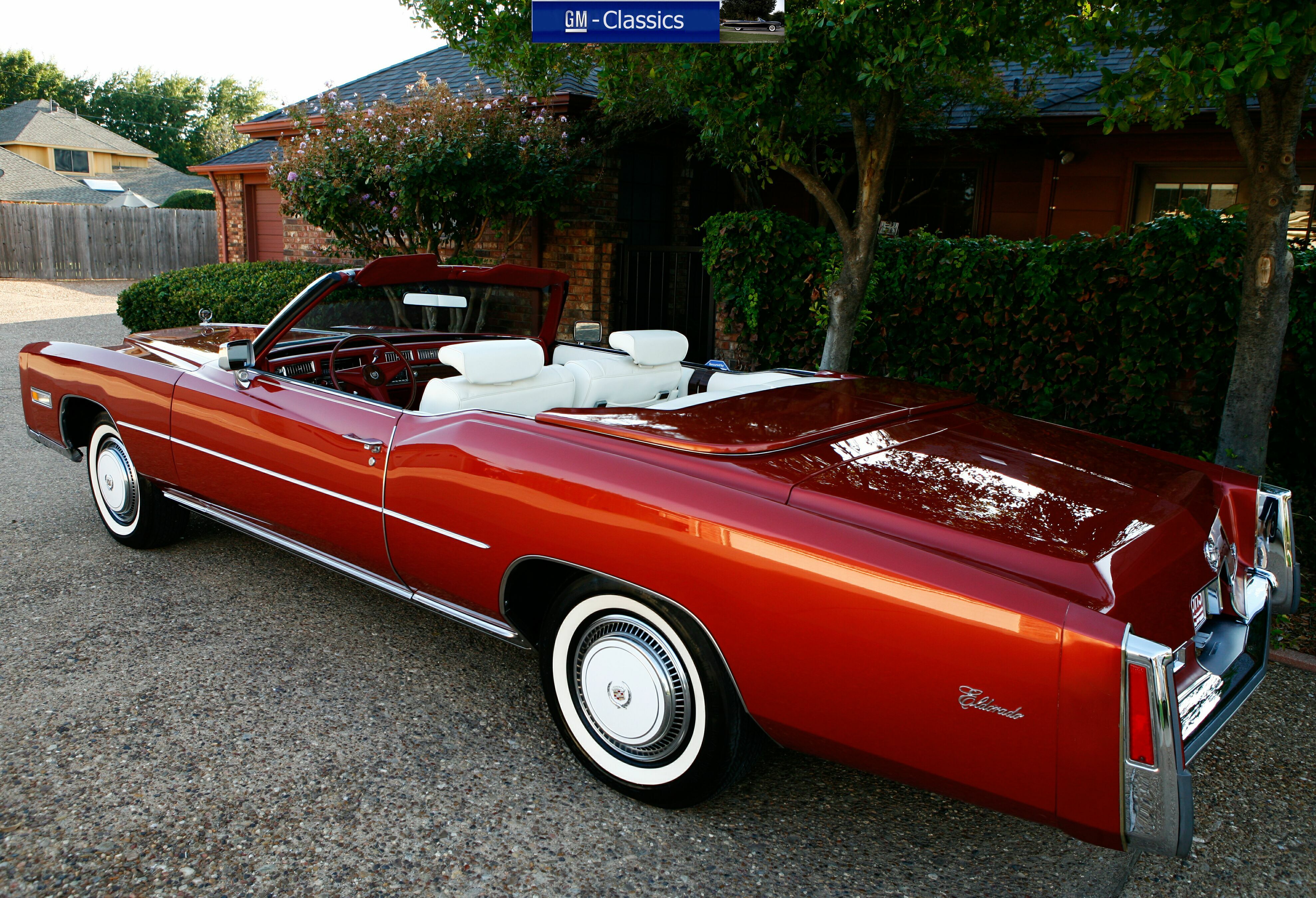 CARS-04.JPG