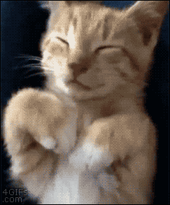 tumblr_o0hzlmLqPq1rlpicfo1_250.gif