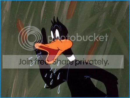 daffy-duck-2-1.jpg