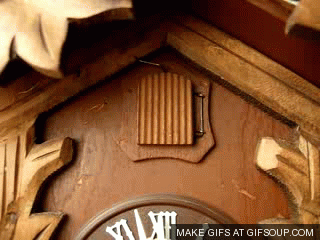 1QwJhFi.gif