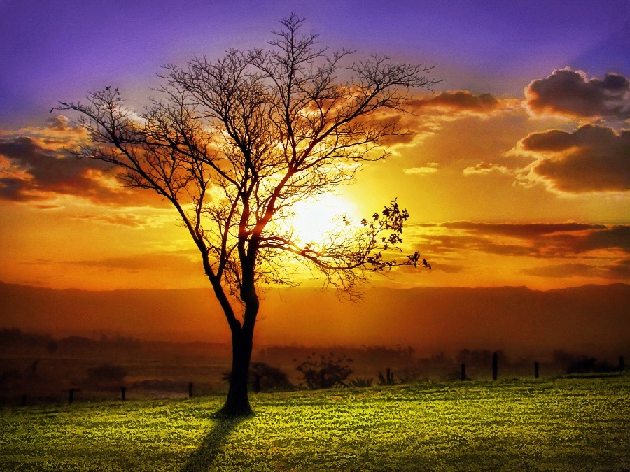 colorfulnature-2.jpg