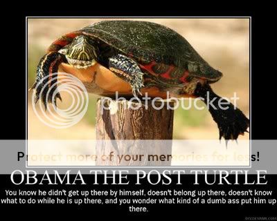 obama_the_post_turtle.jpg