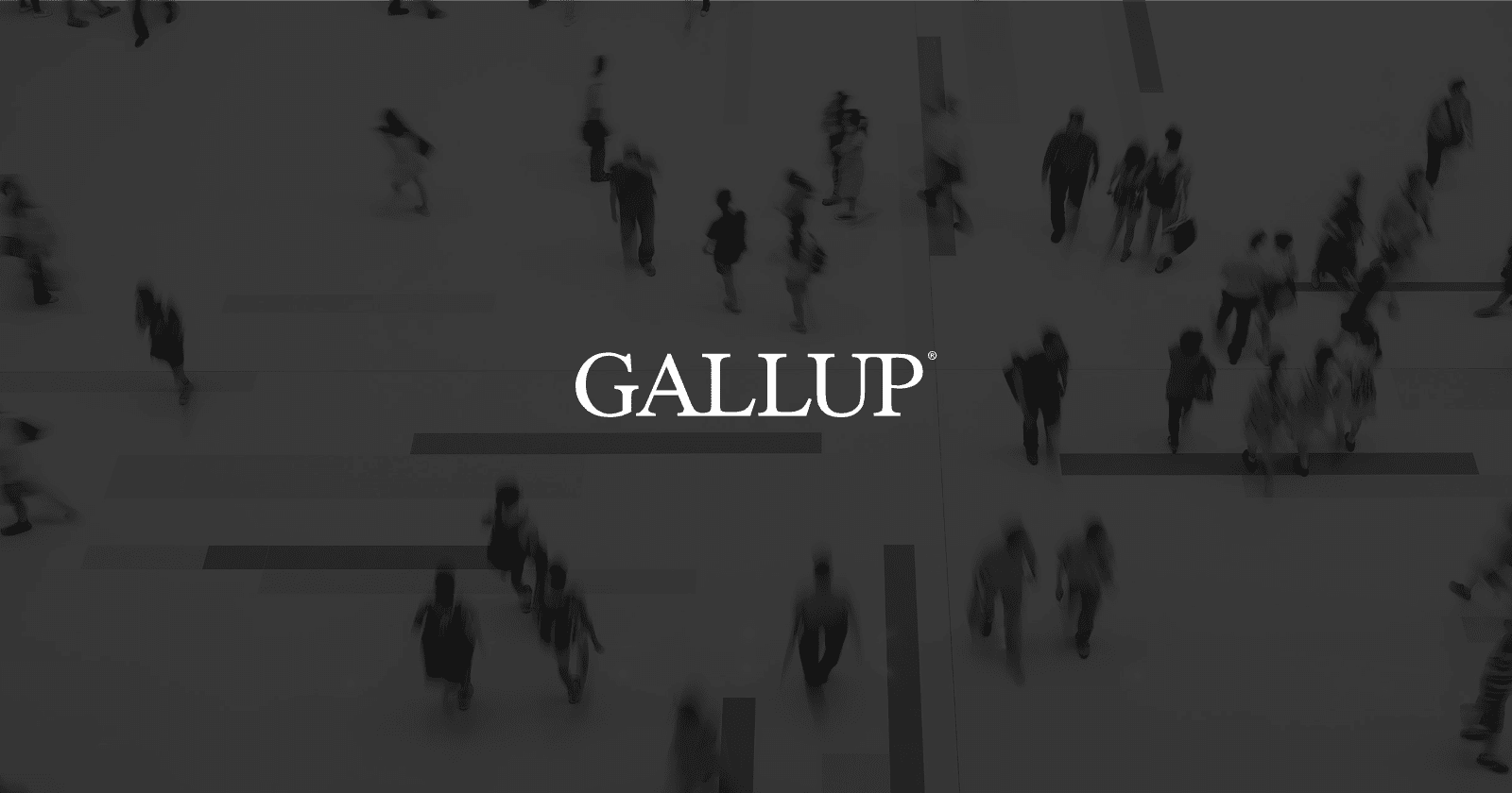 www.gallup.com
