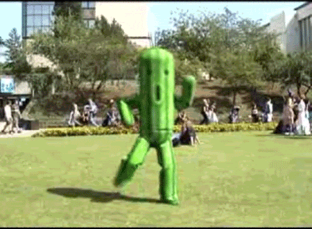 Cactuar.gif