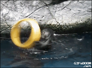 tumblr_nm7gdalmaF1s6twq0o1_400.gif