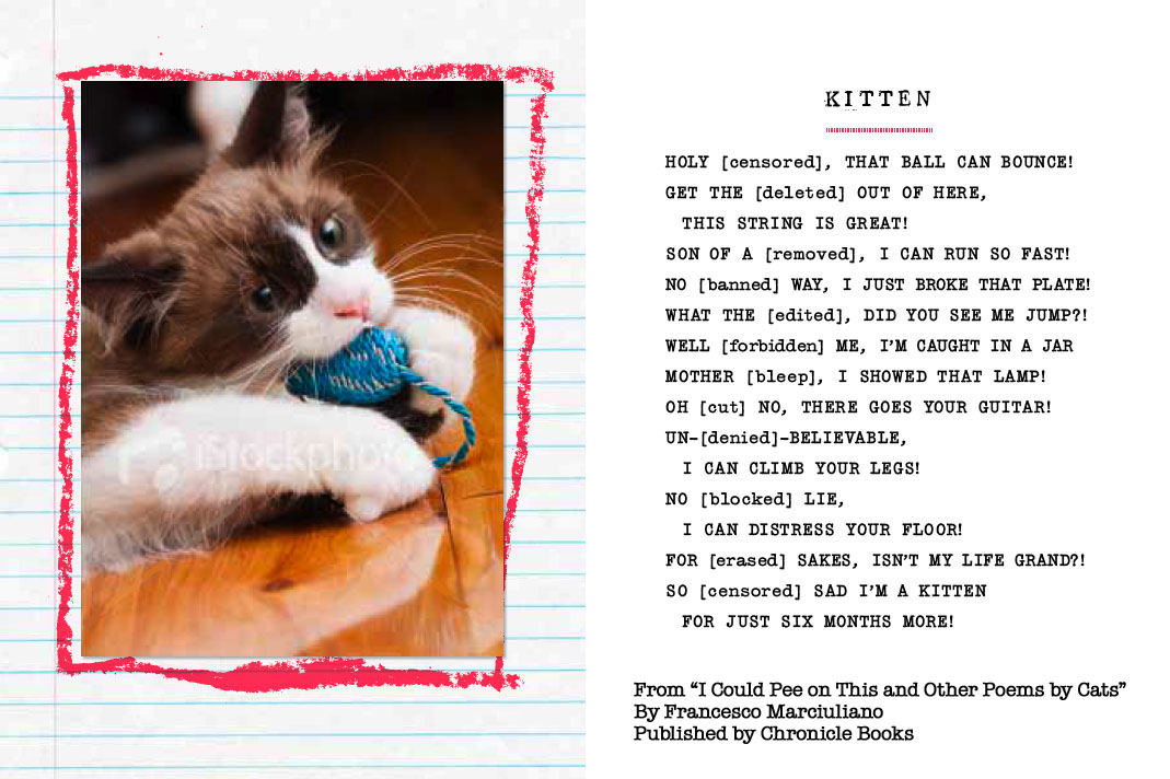 kitten-poem-2.jpg