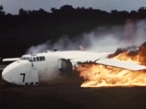 gallery-1436216298-optim.gif