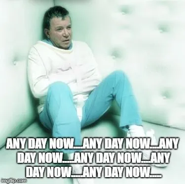 anydaymoonbats-jpg.232875