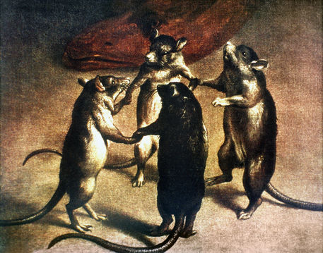 a_dancing_rat.jpg
