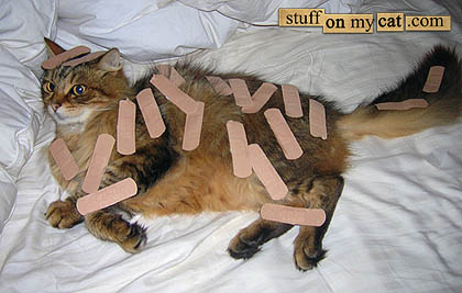 cat-bandaids.jpg