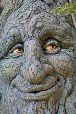 Talking+tree.bmp