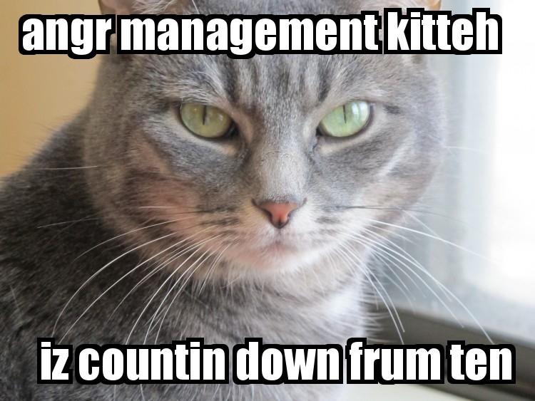 angermgmtkitteh.jpg