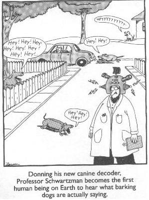 FarsideDogTranslator.jpg