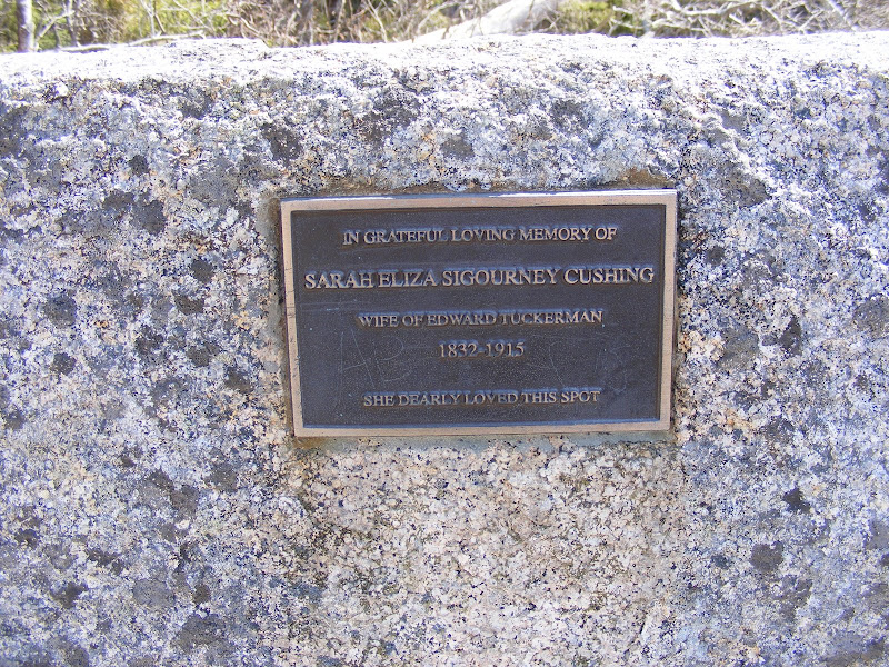 DSCF0251.jpg
