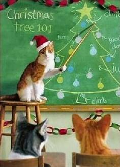 christmas_cat_climb.jpg