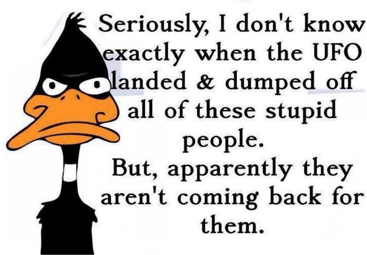 daffy+duck+2.jpg